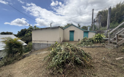 Maison en bois sous tôle à rénover sur 432 m2 de terrain   P