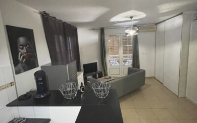 À louer   Studio meublé et climatisé de 26,89 m2 à La Posses
