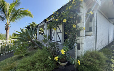 Maison Bourbon Bois type 4/5 avec jardin arboré à Plateau C
